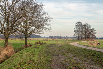 Obraz premium Meandering path in a Dutch polder. It is autumn and the branches of the trees are leafless. The photo was taken near the village of Terheijden, municipality of Drimmelen, province of Noord-Brabant.