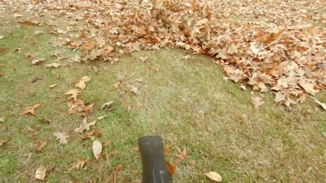 POV of blower blowing leaves in the yard, in slow motion. 120 fps