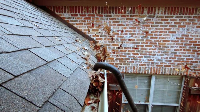 Gutter with leaves being cleaned out with blower.
