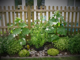 Nursery garden