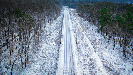 Snow-covered railway runs through a pine forest.