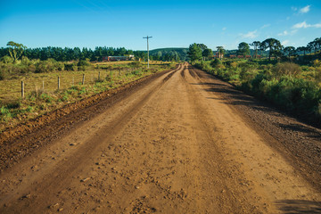 Fototapeta na wymiar Deserted dirt road passing through rural lowlands