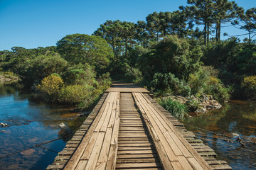 Fototapeta na wymiar Wooden bridge over creek and trail through forest