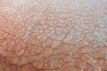 texture of the cracked surface of a dried pink salt lake