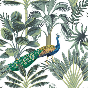Tropical vintage peacock bird, palm tree and plant floral seamless pattern white background. Exotic jungle wallpaper.