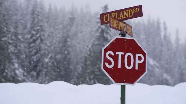 Stop sign on the road slow motion snowing