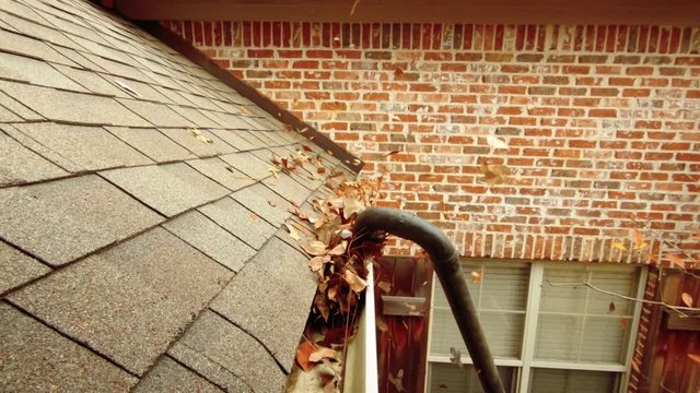 Gutter with leaves being cleaned out with blower. Slo Motion, 120 fps.