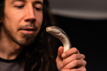 Pet rat snake being held in the by man in studio, out of focus owners face in black material...