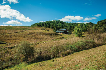 Naklejka premium House on hill with dry bushes and green grove
