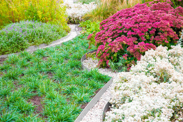 Landscape design, beautiful garden with garden embankments of white stone and curb metal tape with grass and flowers.