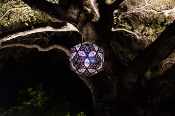 Enchanted forest of light - brightly illuminated intricate metal structure suspended in midair