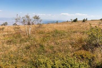 Autumn view of Vitosha Mountain, Bulgaria