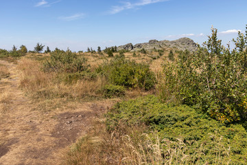 Autumn view of Vitosha Mountain, Bulgaria