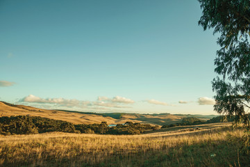Fototapeta premium Landscape of rural lowlands called Pampas