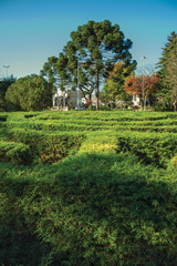 Maze made of evergreen bushes in a garden