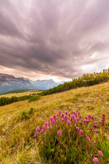 Summer mountain landscape in a wild, remote, area in the Transylvanian Alps.