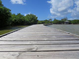 wooden walkway over tropical waters. Caribbean blue sky. Martinique. French West Indies