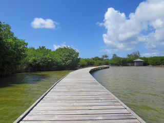 wooden walkway over tropical waters. Caribbean blue sky. Martinique. French West Indies