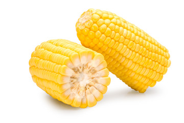 Fresh sweet corn on a white background with clipping path.