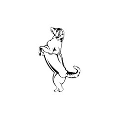 Fototapeta premium dog animal logo