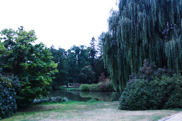 Park in Telc Czech Republic