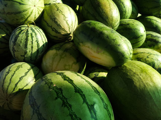 ripe crop of watermelons lies outdoors for future sale