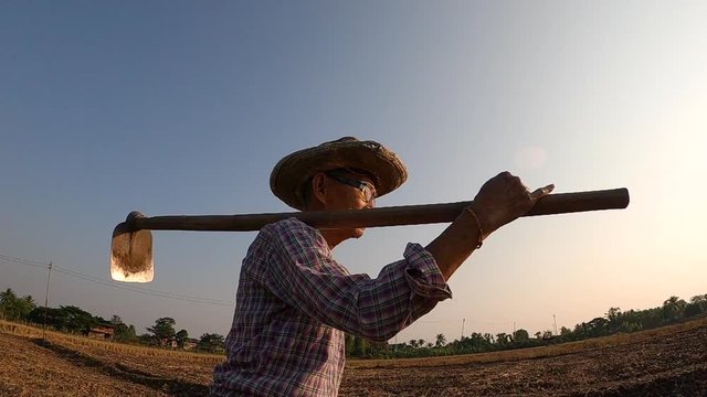 Elderly Asian farmers holding a hoe on his shoulder and walking on ridge in farmland on sunset background.