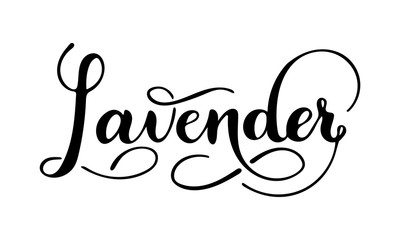 Vector hand written lavender text isolated on white background. Kitchen healthy herbs and spices for cooking. Script brushpen lettering with flourishes. Handwriting for banner, poster, product label