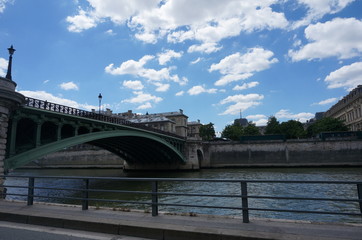 seagull, qinghaihu lake, China