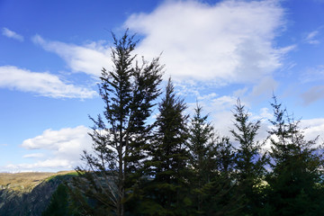 Lake, mountains, trees, sky, clouds in New Zealand