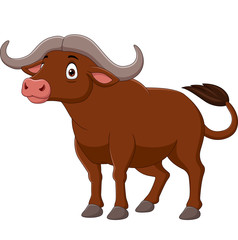 Cartoon buffalo isolated on white background