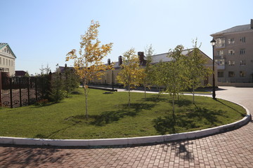 Газон в городе 