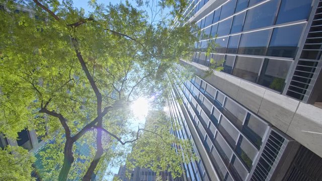 Low angle dolly motion view on NYC skyscrapers facades, green tree top and shining sun blue sky 
