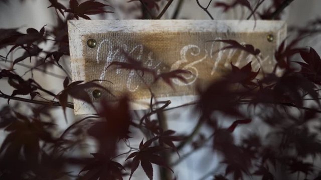 Mr & Mrs Sign sitting in a tree (Japanese Maple), truck shot rack focus slow motion