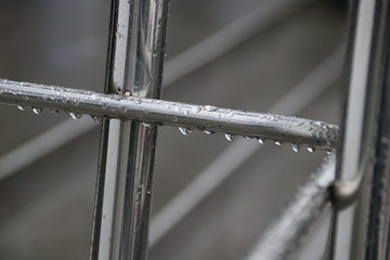 Трубка в каплях дождя