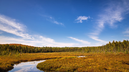 Beaver Pond Trail