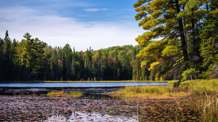 Beaver Pond Trail