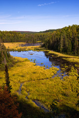 Beaver Pond Trail from the top