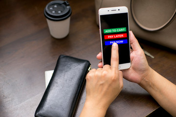 Shopping buttons app on the mobile phone with option to purchase such as pay now, pay later and add to cart.