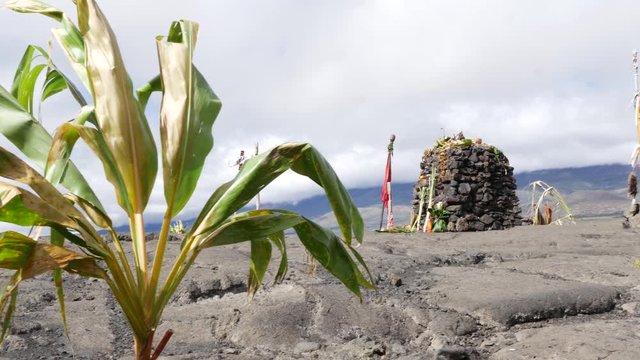 sacred heaau on the big island