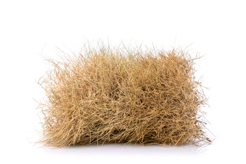 Dry brown garden grass studio shot and isolated on white