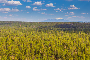 View of the Colorado Plateau in Arizona, USA.