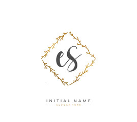 Handwritten letter E S ES for identity and logo. Vector logo template with handwriting and signature style.