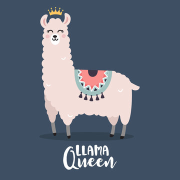 Cute llama cartoon with crown and llama queen quote, Flat vector style