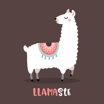 Cute llama cartoon with llamaste quote, Flat vector Illustration