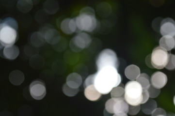 The bokeh of the sunlight that shines through the leaves