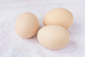eggs
