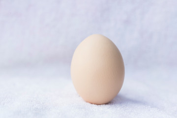 An egg on a white background