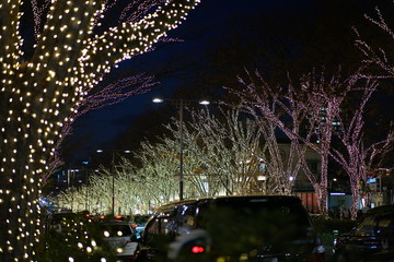 Christmas lights and  illumination on the Omotesando road, Harajuku, Shibuya, Tokyo, Japan in 2019