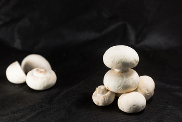 Mushrooms on a black background